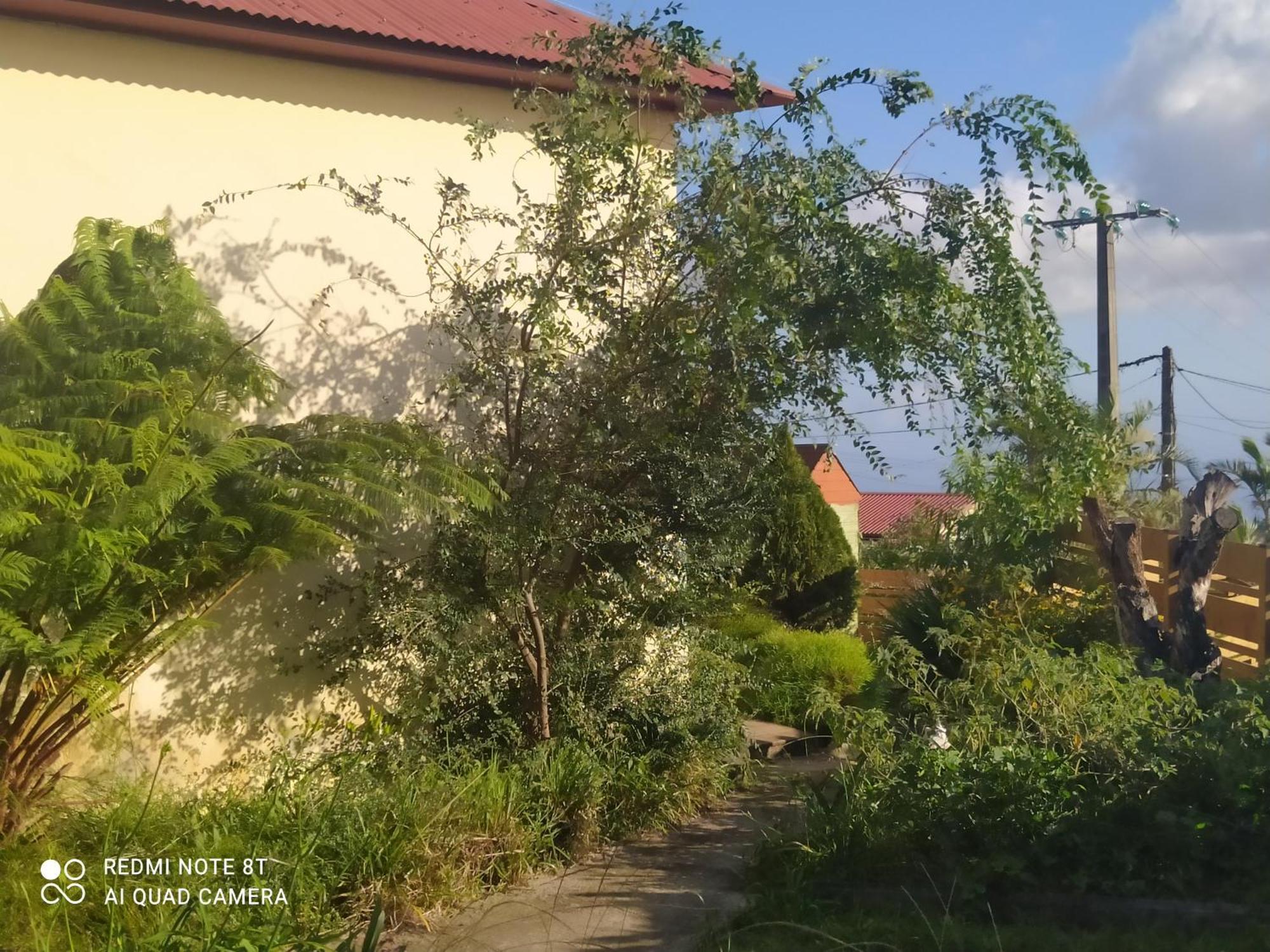 Petit Appartement Dans Une Maison Individuelle ル・タンポン エクステリア 写真